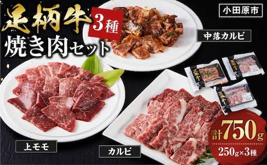 足柄牛3種焼肉セット（カルビ 上モモ 中落カルビ各250ｇ）【 肉 国産 神奈川県 小田原市 】