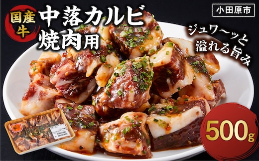 国産牛中落カルビ焼肉用500g【 肉 国産 神奈川県 小田原市 】