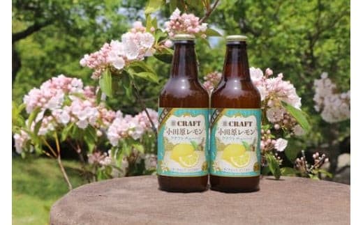 小田原レモンクラフトチューハイ 24本セット