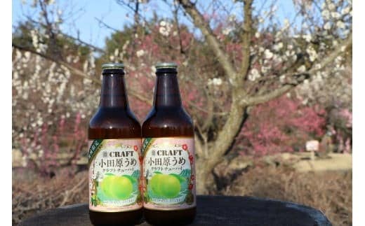 小田原うめクラフトチューハイ 12本セット