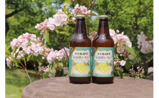 小田原レモンクラフトチューハイ 48本セット