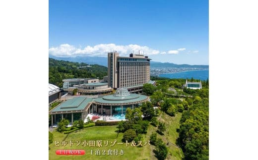 土日祝宿泊OK! ヒルトン・スーペリア・ツインルーム宿泊プラン 1泊夕朝食付き＜1組2名様＞★オーシャンビュー！天然温泉大浴場、プール施設利用含む【 ツインルーム オーシャンビュー 土日祝宿泊OK 神奈川県 小田原市 】