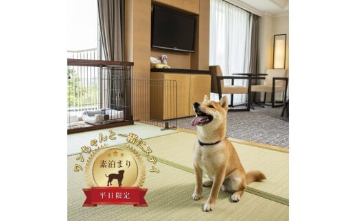 ワンちゃんと一緒にステイヒルトンドッグフレンドリールーム素泊まり（平日）【オーシャンビュー フィットネス 天然温泉大浴場 バーデゾーン 朝食ビュッフェ 都心から１時間のリゾート ヒルトン 神奈川県 小田原市 】