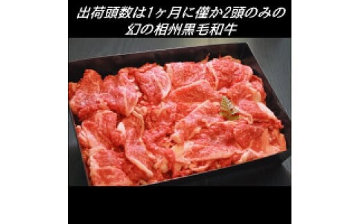 幻の相州黒毛和牛切り落とし(1.2kg)【相州黒毛和牛 幻の牛肉 極上の旨味と風味 キメ細かな上質の脂 様々な料理に ブランド牛 ブランド牛肉 神奈川特産品 かながわブランド 神奈川県 小田原市 】