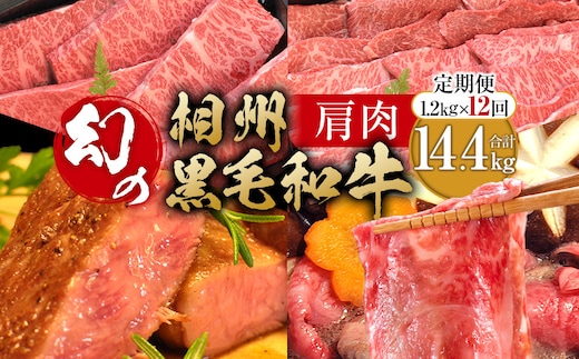 【牛肉 定期便 12回】 幻の相州黒毛和牛肩肉 1.2kg×12回 計14.4kg【相州黒毛和牛 相州牛 幻の牛肉 極上の旨味と風味 キメ細かな上質の脂 様々な料理に ブランド牛 ブランド牛肉 神奈川県 小田原市 】