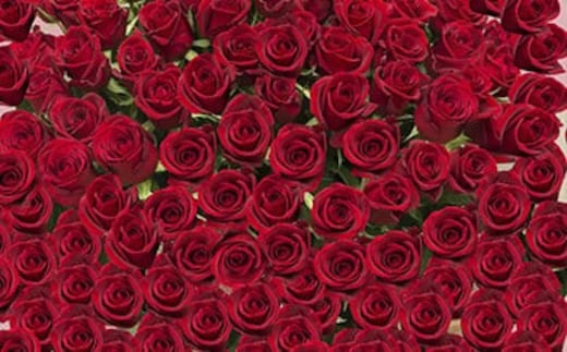 赤バラの花束 365本「あなたが毎日恋しい」※配達エリア限定【記念日に届くお花 365本 世界らん展 フラワードリームジャパンカップ 国内主要コンテスト受賞 贈り物 神奈川県 小田原市 】