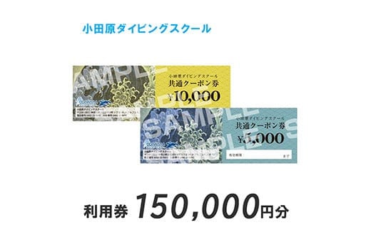 小田原ダイビングスクール 共通クーポン券 150,000円分