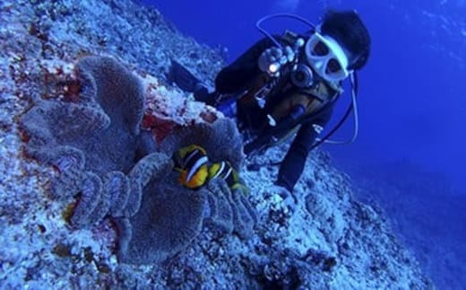 ガイド・レンタル代込み！ファンダイビング【2ビーチ】ご招待券