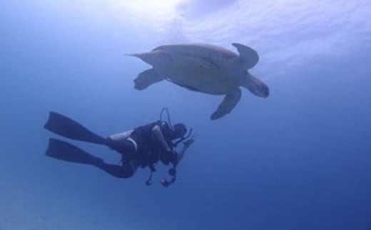 ガイド・レンタル代込み！ファンダイビング【2ビーチ】回数券5日分