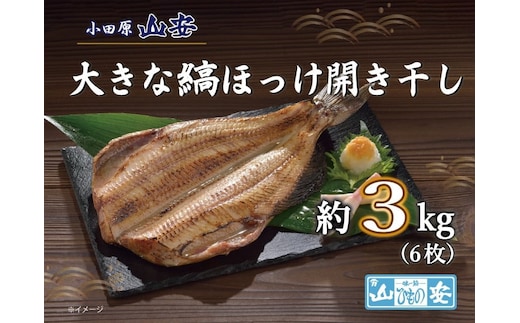 【 小田原 山安 】 大きな縞ほっけ開き干し 約3kg (6枚)【 縞ほっけ 開き干し ほっけ 干物 脂ののった大きめサイズ 500g 6枚 詰合せ 神奈川県 小田原市 】