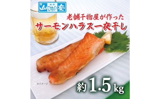 【 小田原 山安 】 老舗の干物屋が作った サーモンハラス一夜干し １．５ｋｇ