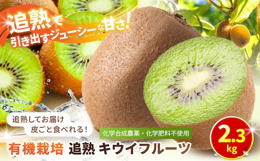 【先行予約】【有機栽培】追熟 キウイフルーツ 2.3kg【2026年12月上旬～2027年3月上旬発送】