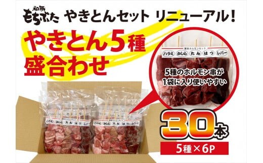 和豚もちぶたやきとん５種盛り合わせ【 惣菜 おかず 家庭用 自宅用 贈答品 贈答用 ギフト お取り寄せ お中元 お歳暮 贈り物 焼トン 焼トン 串焼き 豚肉 ぶたにく ビール 神奈川県 小田原市 】