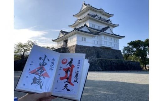 小田原城御城印・御城印帳セット【小田原 小田原城 御城印 三鱗 家紋 北条氏 摩利支天 小田原城オリジナル 蛇腹式製本 来城記念 登城記念 記念品 大久保氏 朱印 虎朱印 印判 シンプルデザイン 神奈川県 小田原市 】