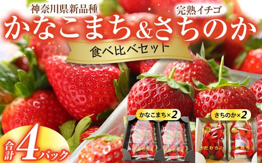 神奈川県新品種「かなこまち＆さちのか」食べ比べセット 完熟イチゴ 苺 4パック入り