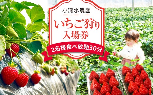 いちご狩り 入場券 2名様 食べ放題30分
