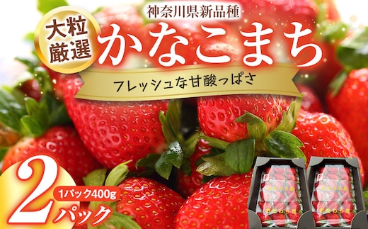 大粒厳選 神奈川県新品種「かなこまち」 完熟イチゴ 苺 2パック入り
