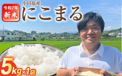令和7年産 富水米 精米 5kg にこまる