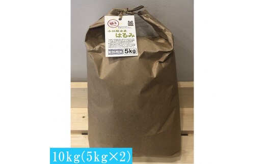 志村屋米穀店 令和7年産小田原市産 はるみ 10kg（5kgｘ2）