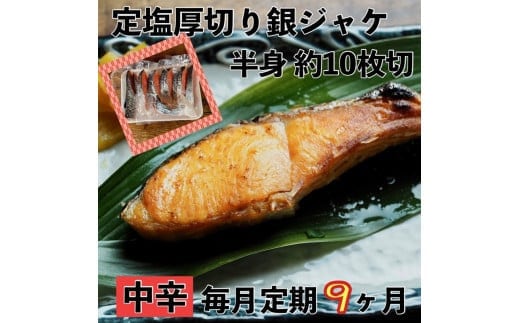【中辛】【毎月9ヶ月 定期便】厚切り銀鮭 半身1枚 約10枚切【鮭 塩鮭 サケ 焼き魚 魚 おつまみ 惣菜 海鮮 珍味 お取り寄せ 御中元 お中元 お歳暮 父の日 母の日 贈り物 日本酒 焼酎 神奈川県 小田原市 】