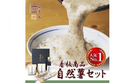 お店の味をご家庭で。【箱根自然薯の森 山薬】自然薯セット(2～3人前×2回分)【とろろ 極上とろろ 山芋 箱根 お家用 家庭用 国産 セット商品 自然薯 神奈川県 小田原市 】
