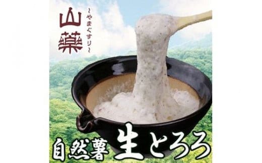 自然薯の味をお楽しみください。自然薯生とろろ100ｇ×５ｐセット【とろろ 極上とろろ 山芋 箱根 お家用 家庭用 国産 セット商品 自然薯 味付とろろ 神奈川県 小田原市 】