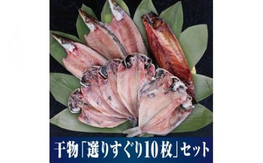【水産事業者を応援しよう！】小田原名物「干物」をさまざまな魚でそれぞれのおいしさを。小田原干物 選りすぐり10枚セット【惣菜 魚 ひもの 選りすぐり10枚セット こだわりの逸品 おすすめの10枚セット ひもの食べつくし 神奈川県 小田原市 】