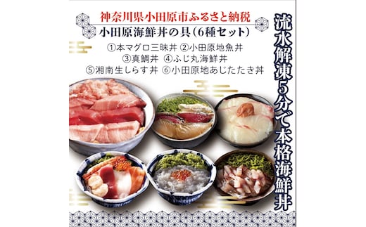 【高級食材本マグロ、曽我の梅干し、小田原地あじ、小田原港直送地魚丼、大磯港直送、湘南生しらす】小田原海鮮丼の具（6種セット）【本まぐろ丼 小田原地魚丼 小田原地あじたたき丼 国産活〆真鯛入り酒仕込み 神奈川県 小田原市 】