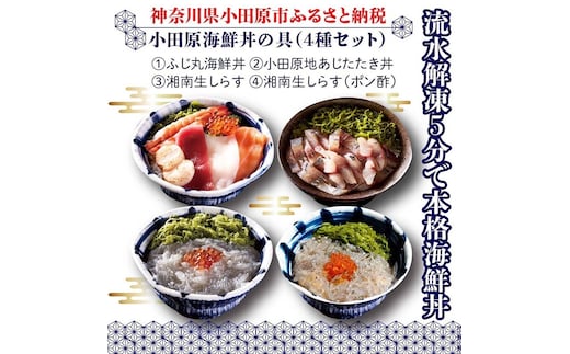 小田原海鮮丼の具（4種セット）