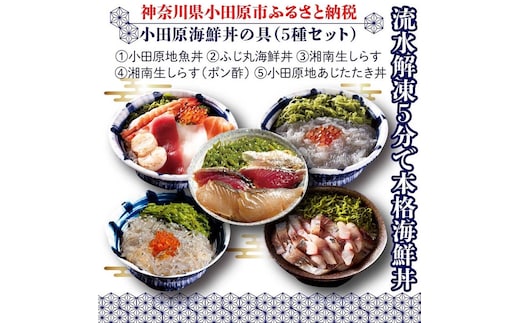 小田原地魚海鮮丼の具（5種セット）