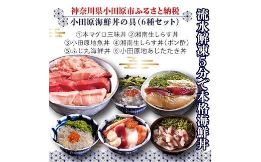 小田原地魚＆本まぐろ海鮮丼の具（6種セット）