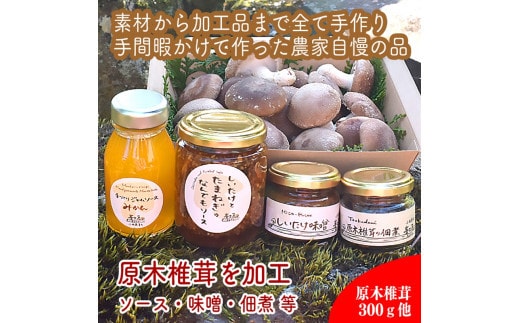 原木生椎茸と椎茸のソース&味噌&佃煮、椎茸の廃ホダを肥料に育ったみかんジャムのセット【家庭用 自宅用 贈答品 贈答用 ギフト お取り寄せ お中元 お歳暮 贈り物 お祝い 神奈川県 小田原市 】