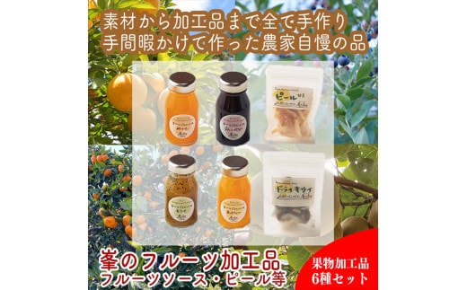 峯フルーツセット 計6種類 手づくりジャムソース4種 ドライフルーツ2種 【 家庭用 自宅用 贈答品 贈答用 ギフト お取り寄せ お中元 お歳暮 贈り物 お祝い 神奈川県 小田原市 】