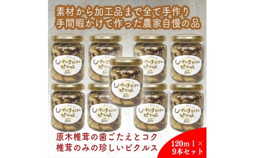 しいたけだけのピクルス 9個セット【 家庭用 自宅用 贈答品 贈答用 ギフト お取り寄せ お中元 お歳暮 贈り物 お祝い 神奈川県 小田原市 】