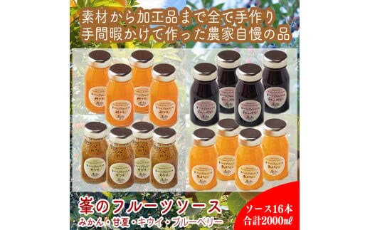 スイスで加工品を学んだ農家が作った手づくりジャムソース 16本セット 手作りみかん キウイ あまなつ ブルーベリー他 125ml 詰め合わせ ギフト【 家庭用 自宅用 贈答品 贈答用 ギフト お取り寄せ お中元 お歳暮 贈り物 お祝い 神奈川県 小田原市 】