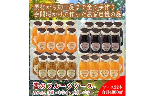 スイスで加工品を学んだ農家が作った手づくりジャムソース 32本セット 手作りみかん キウイ あまなつ ブルーベリー他 125ml 詰め合わせ ギフト【 家庭用 自宅用 贈答品 贈答用 ギフト お取り寄せ お中元 お歳暮 贈り物 お祝い 神奈川県 小田原市 】