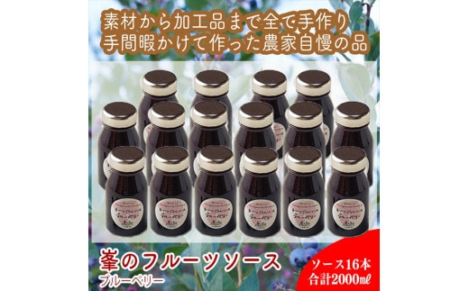 スイスで加工品を学んだ農家が手間暇かけた『手づくりジャムソース【ブルーベリー】』16本セット【 家庭用 自宅用 贈答品 贈答用 ギフト お取り寄せ お中元 お歳暮 贈り物 お祝い 神奈川県 小田原市 】