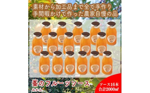 スイスで加工品を学んだ農家が手間暇かけた『手づくりジャムソース【みかん】』16本セット【 家庭用 自宅用 贈答品 贈答用 ギフト お取り寄せ お中元 お歳暮 贈り物 お祝い 神奈川県 小田原市 】