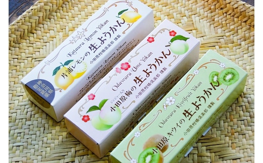 【さっぱりとした現代感覚のフルーツ生ようかんセット】（片浦レモン、小田原キウイ、ジンジャー入り小田原梅 各1本）創業昭和10年 小田原 伊勢屋【 和菓子店 ようかん 神奈川県指定銘菓 神奈川県 小田原市 】