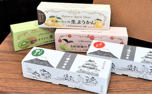 小田原老舗和菓子店の手づくりようかん5本セット【和菓子店 手づくりようかん5本セット レモンようかん フルーツようかん 足柄茶ようかん 本練ようかん キウイようかん 梅ようかん 神奈川県指定銘菓 神奈川県 小田原市 】