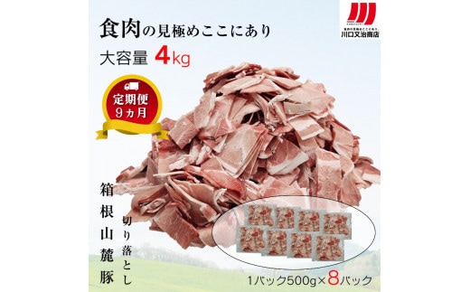 【定期便９ヵ月】箱根山麓豚 モモ・ウデ切り落とし４K盛り(500ｇ×８パック)【 箱根山麓豚 切り落とし 神奈川県 小田原市 】