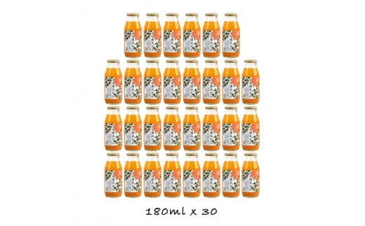 【定期便 6回】 小田原産江之浦みかん１００％ストレートジュース１８０ml３０本