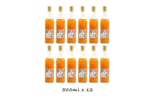 小田原産江之浦みかん１００％ストレートジュース５００ml１２本