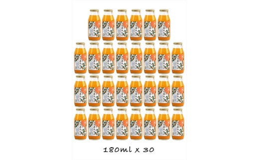 【定期便 （2カ月ごと全4回）】小田原産江之浦みかん１００％ストレートジュース１８０ml３０本