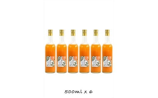 【定期便 3回】小田原産江之浦みかん１００％ストレートジュース５００ml６本