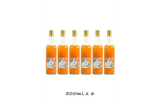 【定期便 （2カ月ごと全3回）】小田原産江之浦みかん１００％ストレートジュース５００ml６本
