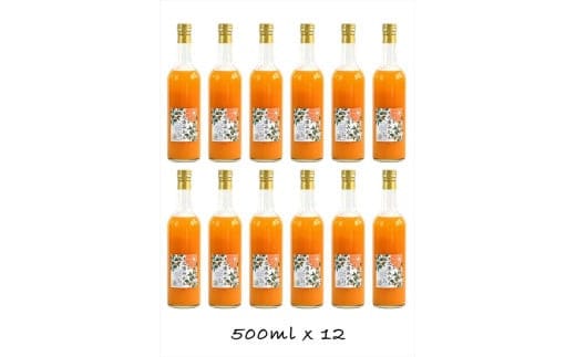 【定期便 3回】小田原産江之浦みかん１００％ストレートジュース５００ml１２本