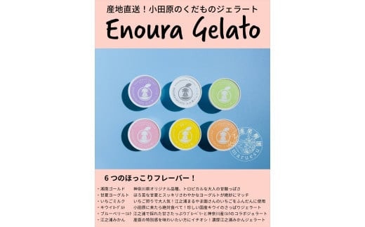 【定期便（2カ月ごと全3回）】小田原産江之浦ジェラート６種（みかん、湘南ゴールド、ブルーベリーミルク、いちごミルク、キウイヨーグルト、甘夏ヨーグルト）120mlカップ各１個合計６個