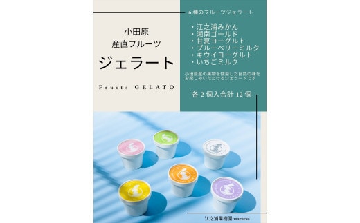 【定期便 12回】 小田原産江之浦ジェラート６種（みかん、湘南ゴールド、ブルーベリーミルク、いちごミルク、キウイヨーグルト、甘夏ヨーグルト）120mlカップ各２個合計１２個