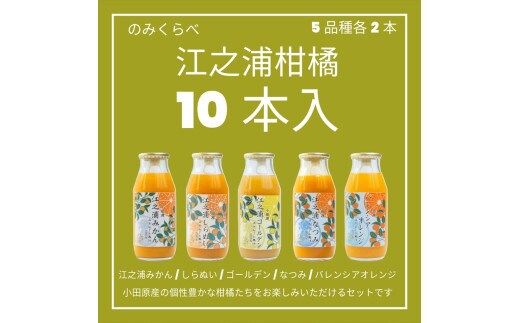 小田原産江之浦みかんジュース５種のみくらべ１０本セット うんしゅう・しらぬい・ゴールデン・なつみ・バレンシアオレンジ１００％ストレートジュース１８０ml各２本合計１０本